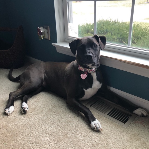 Please Share Closet 🙏 Posher needs help ❤️ - Picture 7 of 11